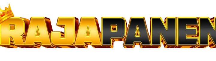 logo RAJAPANEN